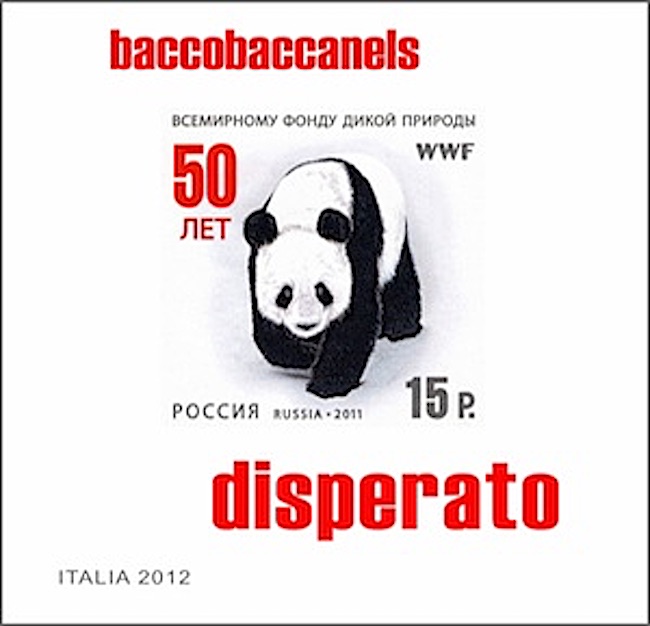 Cover of Disperato song by Bacco Baccanels